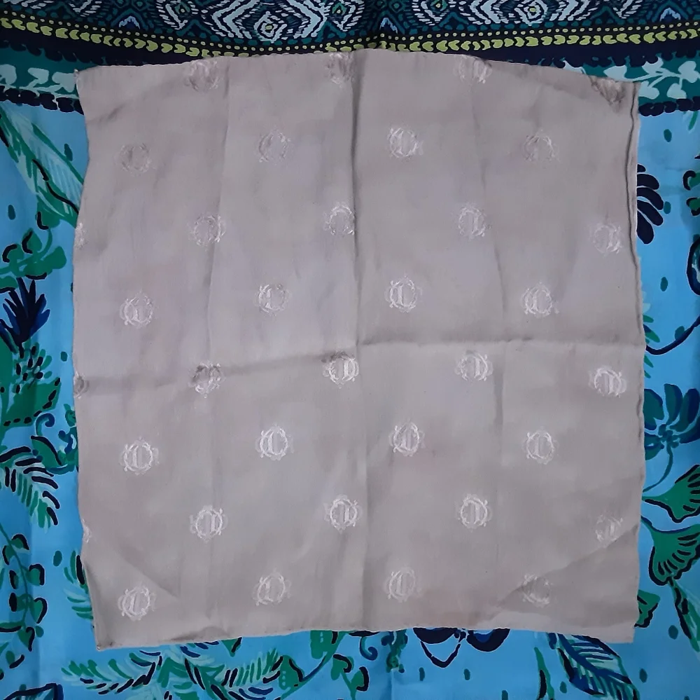 Christian Dior Silk Greyish Green Logo Scarf